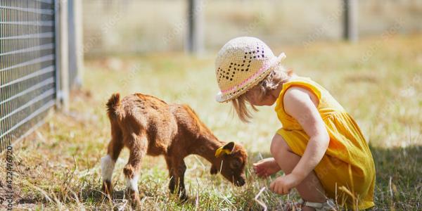 Mon doudou et les animaux 2025
