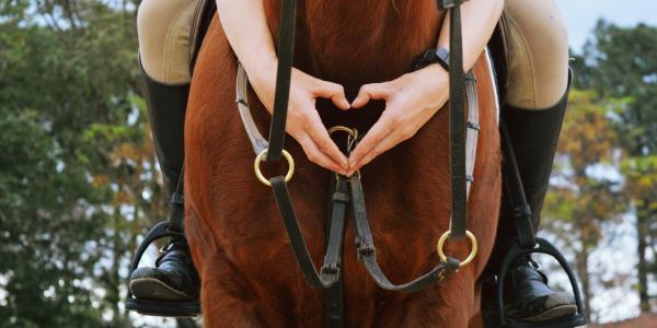 Equit'Anjou