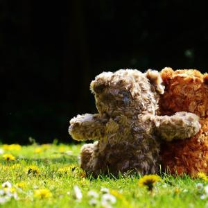 Mon doudou et la nature 2025