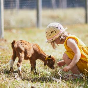 Mon doudou et les animaux 2025