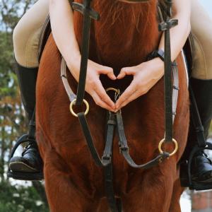 Equit'Anjou